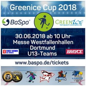 GreeniceCup2018 Neutrales Logo